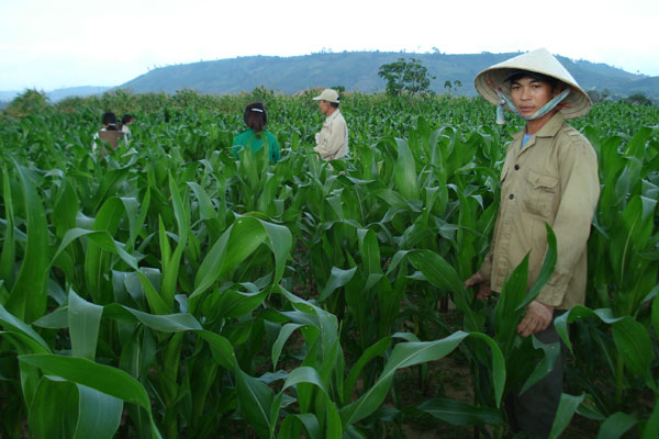 ເພີ່ມຈຳນວນເງິນລົງທຶນພັດທະນາການຜະລິດໃຫ້ຜູ້ທຸກຍາກ ແລະ ຊົນເຜົ່າສ່ວນຫນ້ອຍ